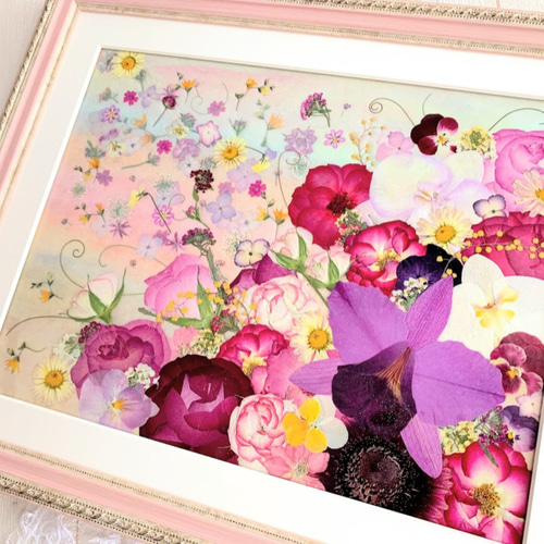 艶やか胡蝶蘭とカトレアの華やか押し花額 その他アート 神戸六甲 艶やか胡蝶蘭とカトレアの華やか押し花額 その他アート 神戸六甲