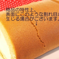 【糖質オフ】ロールケーキ・ハーフサイズ 3枚目の画像