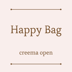 【送料無料】Happy Bag  ピアス・イヤリング　４点入り 1枚目の画像