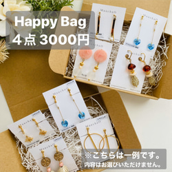 【送料無料】Happy Bag  ピアス・イヤリング　４点入り 5枚目の画像