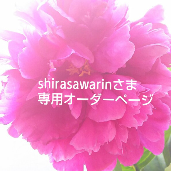 shirasawarinさま専用オーダーページ 1枚目の画像