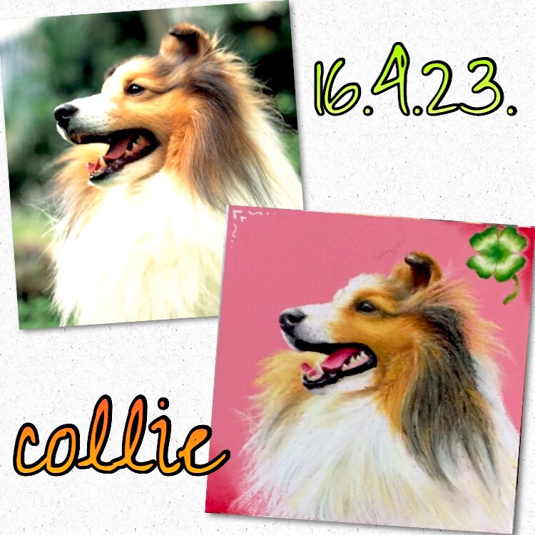 ｡・:＋°わんちゃん似顔絵ボードA4サイズ｡・:＋°