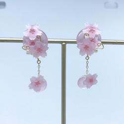 【桜】   ピアス 1枚目の画像