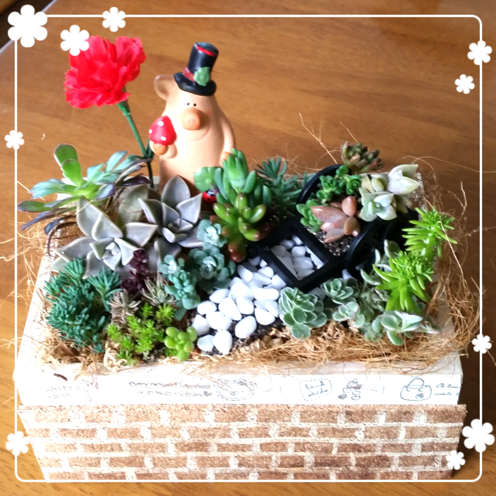 多肉植物　箱庭 多肉 箱庭 寄せ植え 多肉植物 mapi 通販 17550512｜Creema(クリーマ)