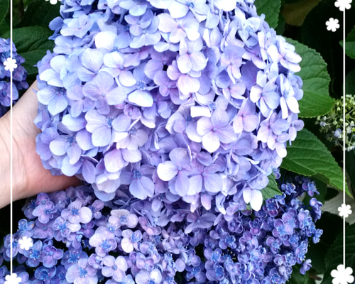 1_b8ee700d090f63de3f40fc122f1e