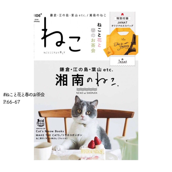 【再販】雑誌「ねこ」掲載記念 ❇︎ ねこクッキーボックスセット【７/４発送】 2枚目の画像