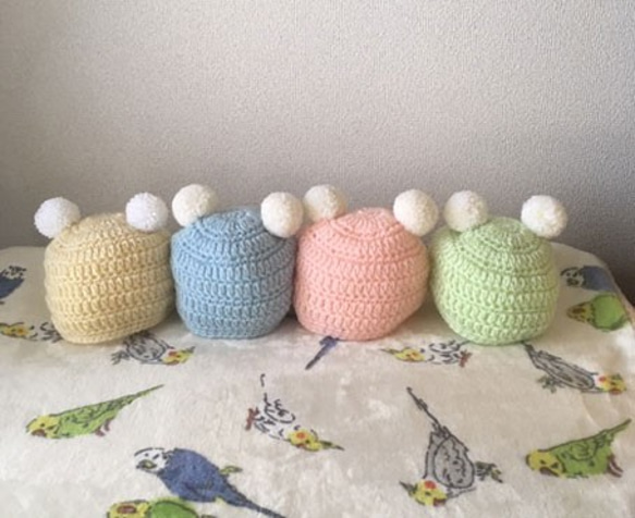 春☆42-44☆くま耳☆ポンポンニット帽☆白☆4色 帽子(ベビー