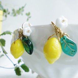 0_9720762113376a3eaade19f7936e