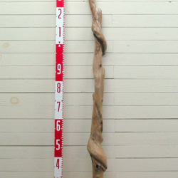 「送料無料」変形幹枝流木 g177 インテリア店舗ディスプレイ園芸撮影用やアクアリュウム爬虫類用流木素材 2枚目の画像