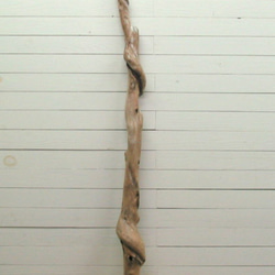 「送料無料」変形幹枝流木 g177 インテリア店舗ディスプレイ園芸撮影用やアクアリュウム爬虫類用流木素材 3枚目の画像