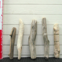 「送料無料」流木棒50ｃｍ未満の5本セット a464 DIY園芸インテリア店舗ディスプレイや撮影用に使える流木棒素材 2枚目の画像