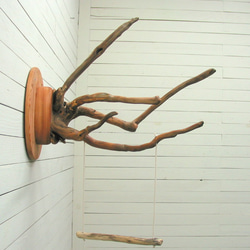 「送料無料」流木止まり木壁掛けハンガー pb74 オリジナル流木ペット用品 3枚目の画像