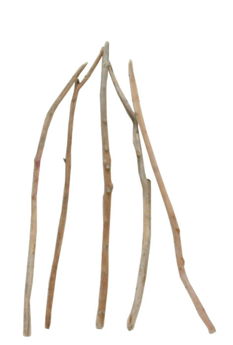 「送料無料」小枝細枝流木の５本セット e389 インテリア店舗ディスプレイ園芸華材撮影用DIY工作水槽用流木素材