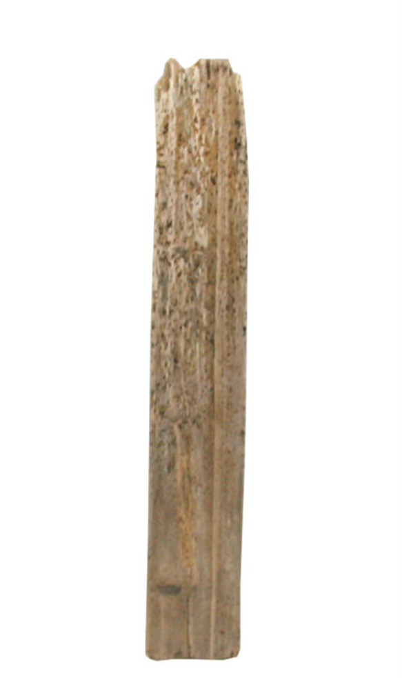 「送料無料」大型板流木 d336 インテリア店舗ディスプレイ園芸撮影用DIY棚板ペット爬虫類用流木素材 1枚目の画像