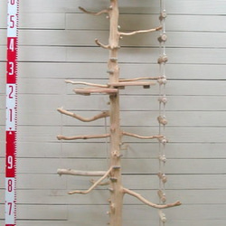 オリジナル大型流木バードジムタワー(ツリーハウスオブジェタイプ)数量限定計６台 pb78 3枚目の画像