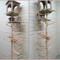 オリジナル大型流木バードジムタワー（ツリーハウスオブジェタイプ）数量限定計６台 pb80 3枚目の画像