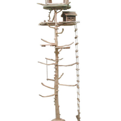 「送料無料」オリジナル大型流木バードジムタワー（ツリーハウスオブジェタイプ）数量限定計６台 pb81 2枚目の画像
