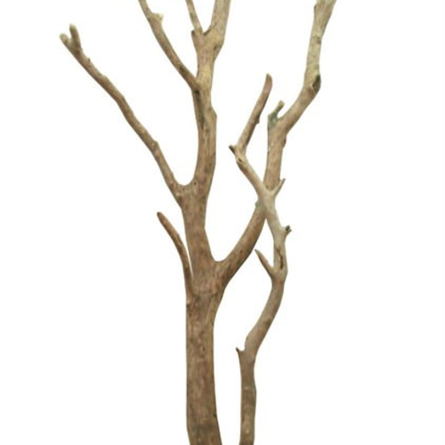 流木大型 特大流木販売｜法人向け大型装飾・庭園・商業施設用