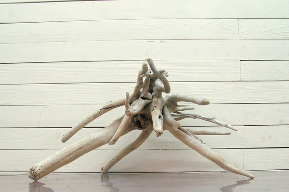 「送料無料」流木根 h324 インテリア店舗ディスプレイ用ガーデニング園芸華材撮影用爬虫類用流木素材 3枚目の画像