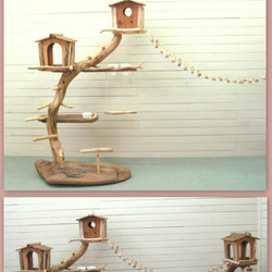 「送料無料」オリジナル大型流木バードジムツインタワースタンド 縄はしご付き pb35 オリジナル流木ペット用品 4枚目の画像