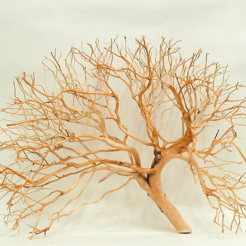 送料無料」大型小枝細枝素材 e348 インテリア店舗ディスプレイ園芸華材