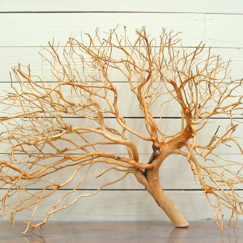 送料無料」大型小枝細枝素材 e348 インテリア店舗ディスプレイ園芸華材