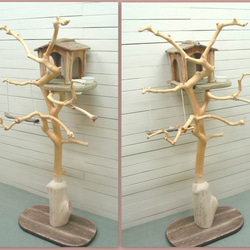 「送料無料」限定オリジナル流木バードジムタワー pb46 オリジナル流木ペット用品 3枚目の画像
