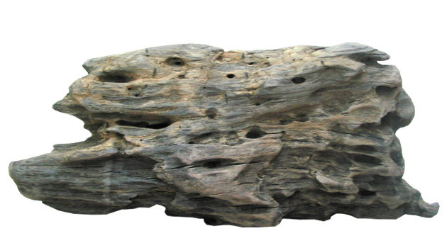 「送料無料」変形黒流木 i402 国産流木素材 DIY資材 工作用素材 ディスプレイ用素材 ガーデニング用資材