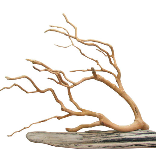 送料無料」大型ディスプレイ用流木オブジェ（ツリースタンド） kc38