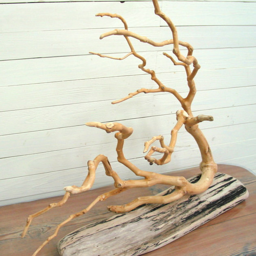 流木（白塗装）4本セット Amazon | 【SUKIRACING】ZX-25R 2020 2021 2022 2023カウル