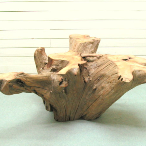 特別セール品】 大型ガラステーブル用切り株流木 ka98 オリジナル流木