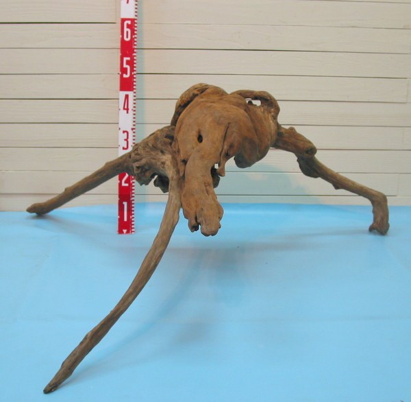 「送料無料」大型変形流木根 h193 インテリア店舗ディスプレイ用ガーデニング園芸華材撮影用爬虫類用流木素材