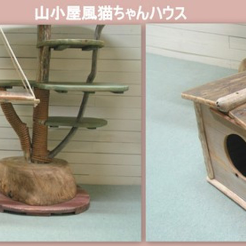 流木キャットタワー・No.203・高さ193㎝・ハシゴ付き 送料無料」オリジナル大型流木キャットタワー（駆上りハシゴ付きツリー