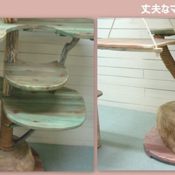 「送料無料」オリジナル大型流木キャットタワー（駆上りハシゴ付きツリーハウスタイプ）［pk39］ ペット用品 猫グッズ 8枚目の画像