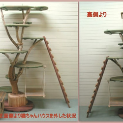 「送料無料」オリジナル大型流木キャットタワー（駆上りハシゴ付きツリーハウスタイプ）［pk40］ ペット用品 猫グッズ 5枚目の画像