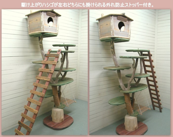 「送料無料」オリジナル大型流木キャットタワー（駆上りハシゴ付きツリーハウスタイプ）［pk41］ ペット用品 猫グッズ 4枚目の画像