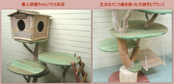 「送料無料」オリジナル大型流木キャットタワー（駆上りハシゴ付きツリーハウスタイプ）［pk41］ ペット用品 猫グッズ 7枚目の画像