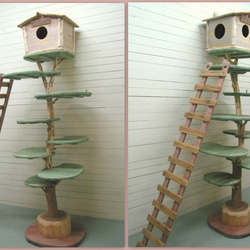 「送料無料」オリジナル大型流木キャットタワー（駆上りハシゴ付きツリーハウスタイプ）［pk43］ ペット用品 猫グッズ 3枚目の画像