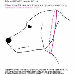 ＝クリスマス限定=迷子札用首輪　〜35cmまで 4枚目の画像