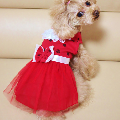 赤ドット　ワンピース♡丸襟♡ 赤ドット ワンピース♡丸襟 赤リボンタイプ♡水玉 子供服 Remyu