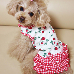 ピンキー様☆犬服☆ハンドメイドオーダー☆4着✩.*˚ 犬着物】花魁 オーダーメイド 犬服 犬の着物 | iichi 日々の