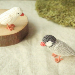 桜文鳥さんのポーチ×3&編みぐるみ♪ 文鳥グッズ 桜文鳥ポーチ 恐ろしく