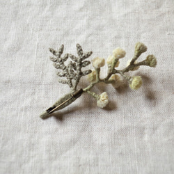 植物染色·含羞草的胸花 第2張的照片