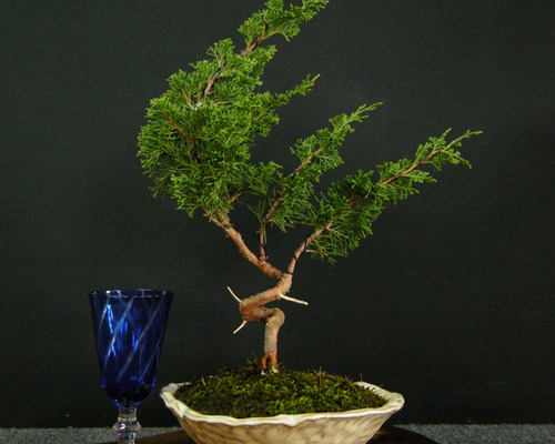 0_4eb5ef631304498c333b5320f0f6