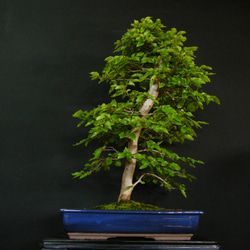 0_47e962f71a2841b999ef046fd1b4