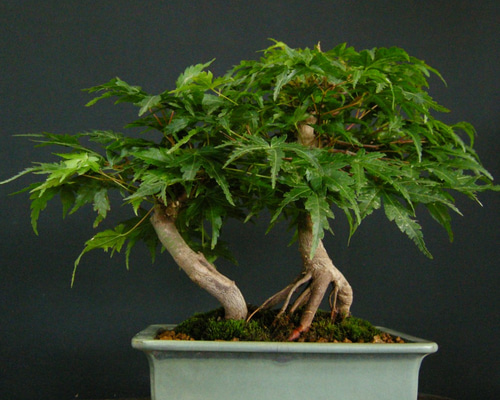 0_4911d06eefbefceaaaf3d3c3b183