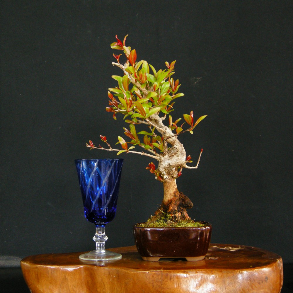 【一点物】新作　柿　工芸盆栽　盆栽　置物 ハンドメイド　造花