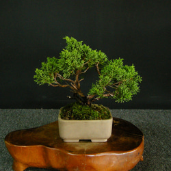 0_29fff447ebf9fbc1fa0034b44303