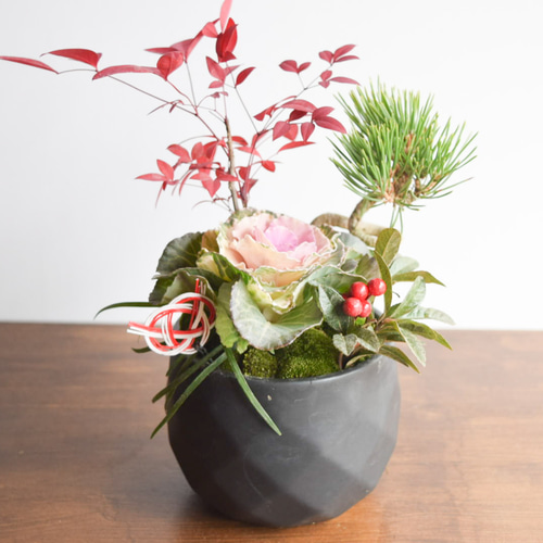 お正月飾りに！和風寄せ植え no.446 盆栽 盆栽やす 通販｜Creema 