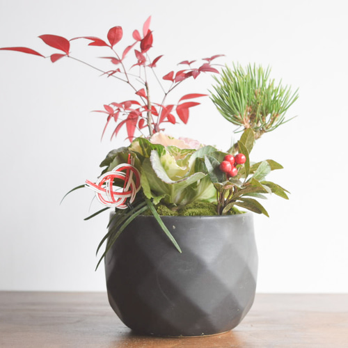お正月飾りに！和風寄せ植え no.446 盆栽 盆栽やす 通販｜Creema 
